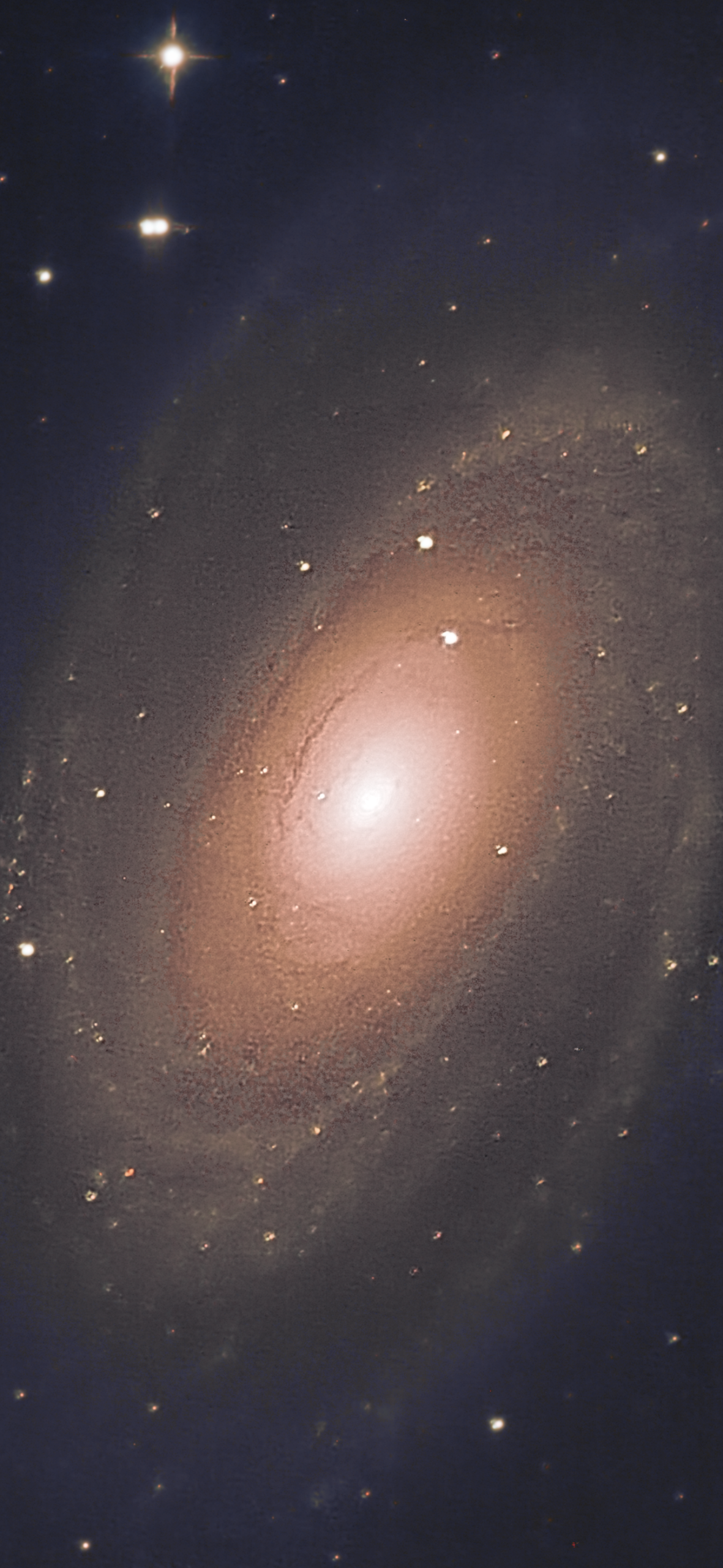 M81